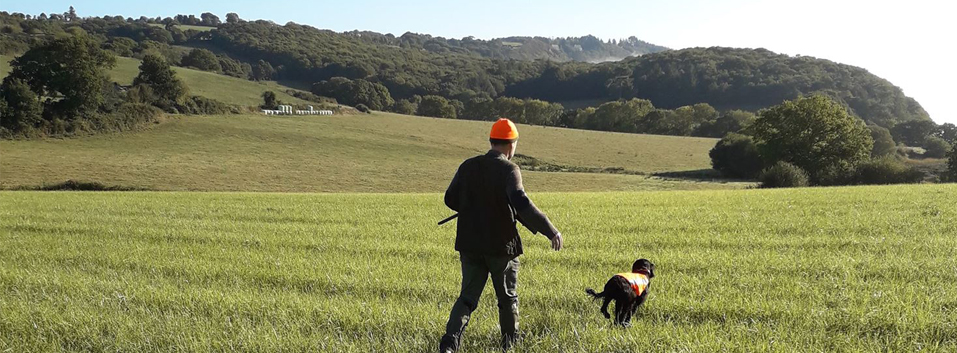 environnement_chasse Réforme de la police de l’environnement et du droit de la chasse